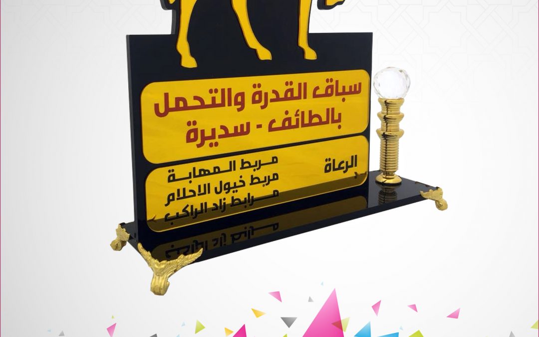 سباق القدرة والتحمل